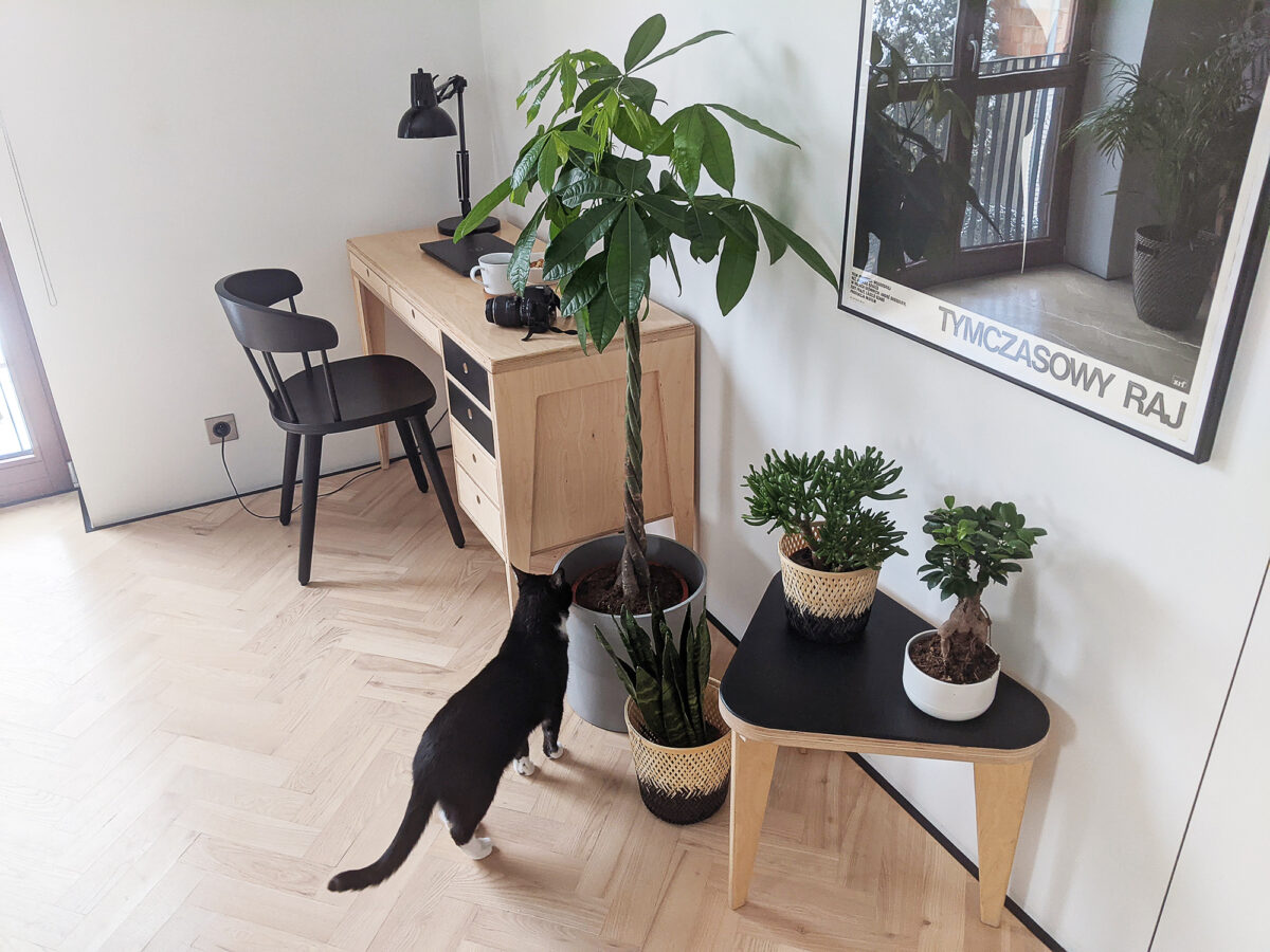 biurko toaletka ze sklejki kwietnik